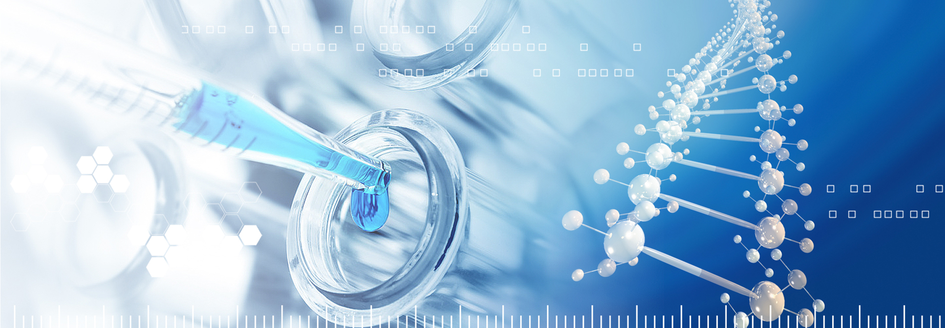 云顶4008集团官网